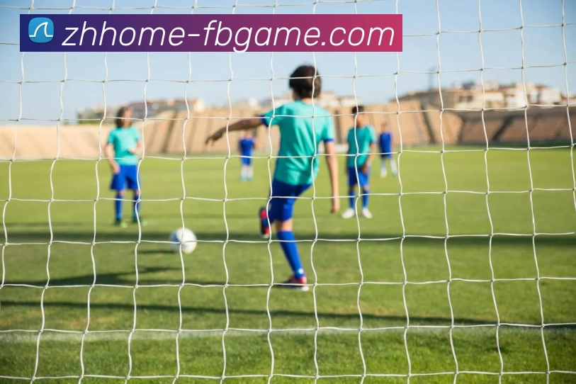 FB体育官网发展历程